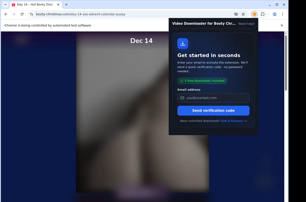 Bootychristmas Video Downloader browser extension screenshot 5